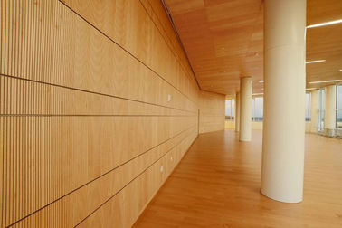 el panel acústico acanalado de madera decorativo del grueso de 12m m para el techo y la pared