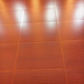 El recubrimiento de paredes perforado acústico del techo de la impermeabilización sana sube a la naranja
